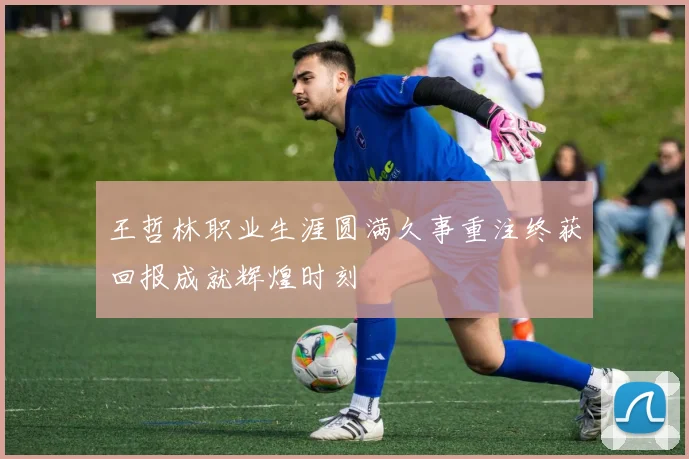 王哲林职业生涯圆满久事重注终获回报成就辉煌时刻